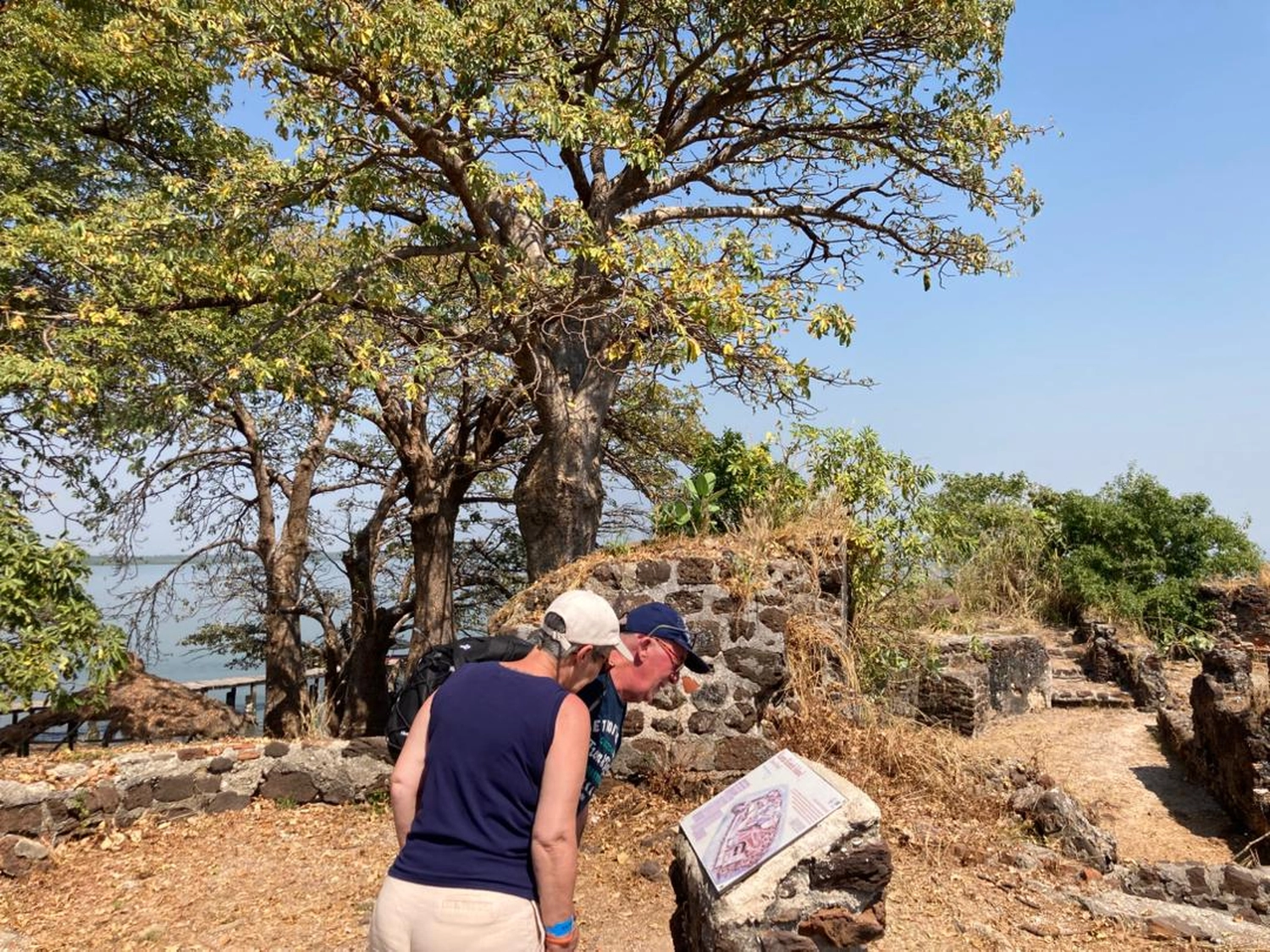 Gambia View Tours - Tourism services - Two tourists leaning in to read an information plaque near stone ruins and a large baobab tree on James Island